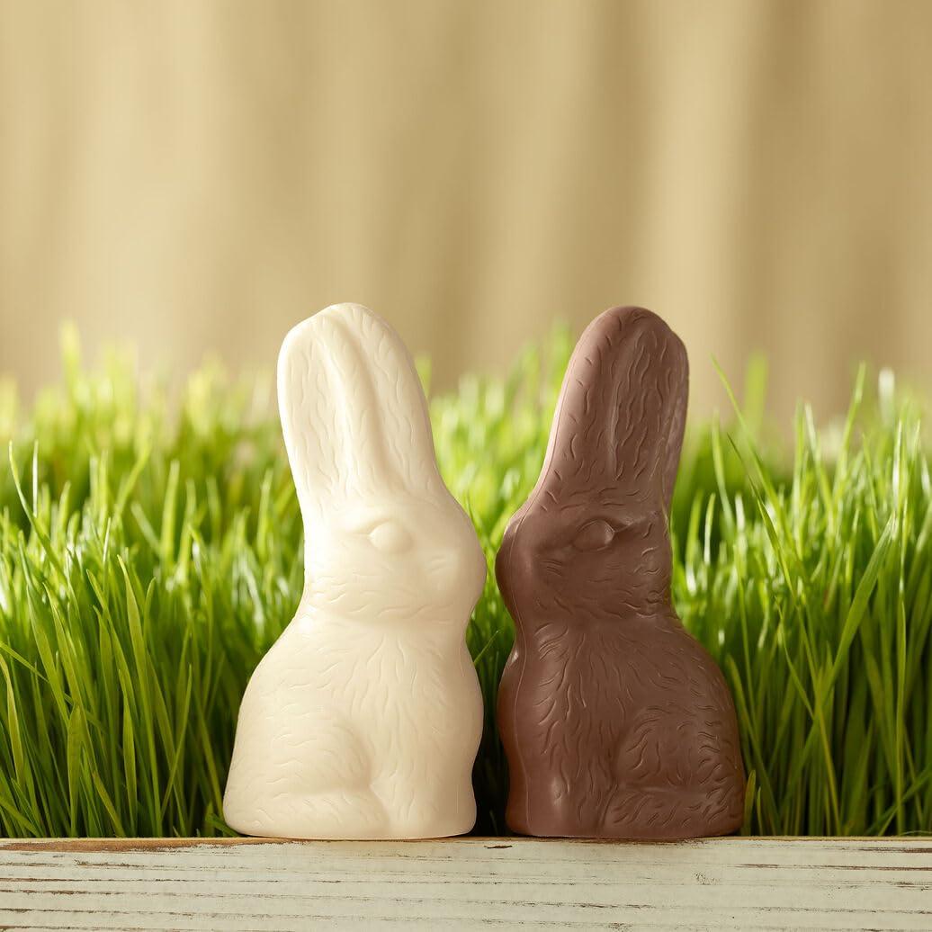 imageSees Candies 22 oz Easter Little Milk Chocolate Bunny